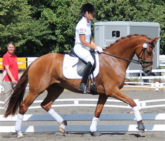 Ladina 2012