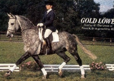 Goldloewe