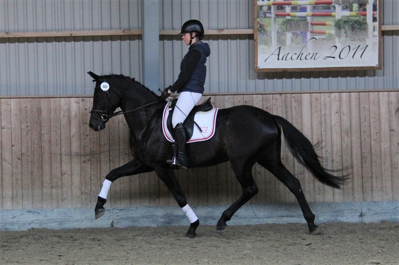 Tasandra kåringen 2017