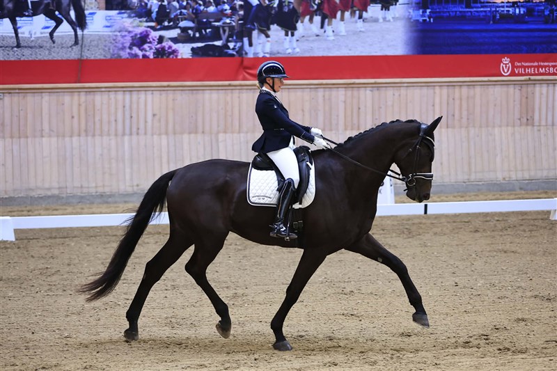 Harrysmindes Esto -2026