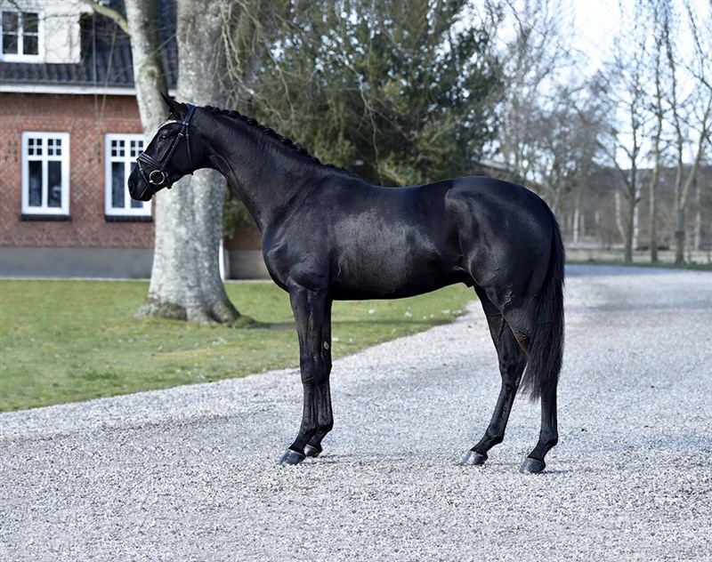 Gørklintgaard Million